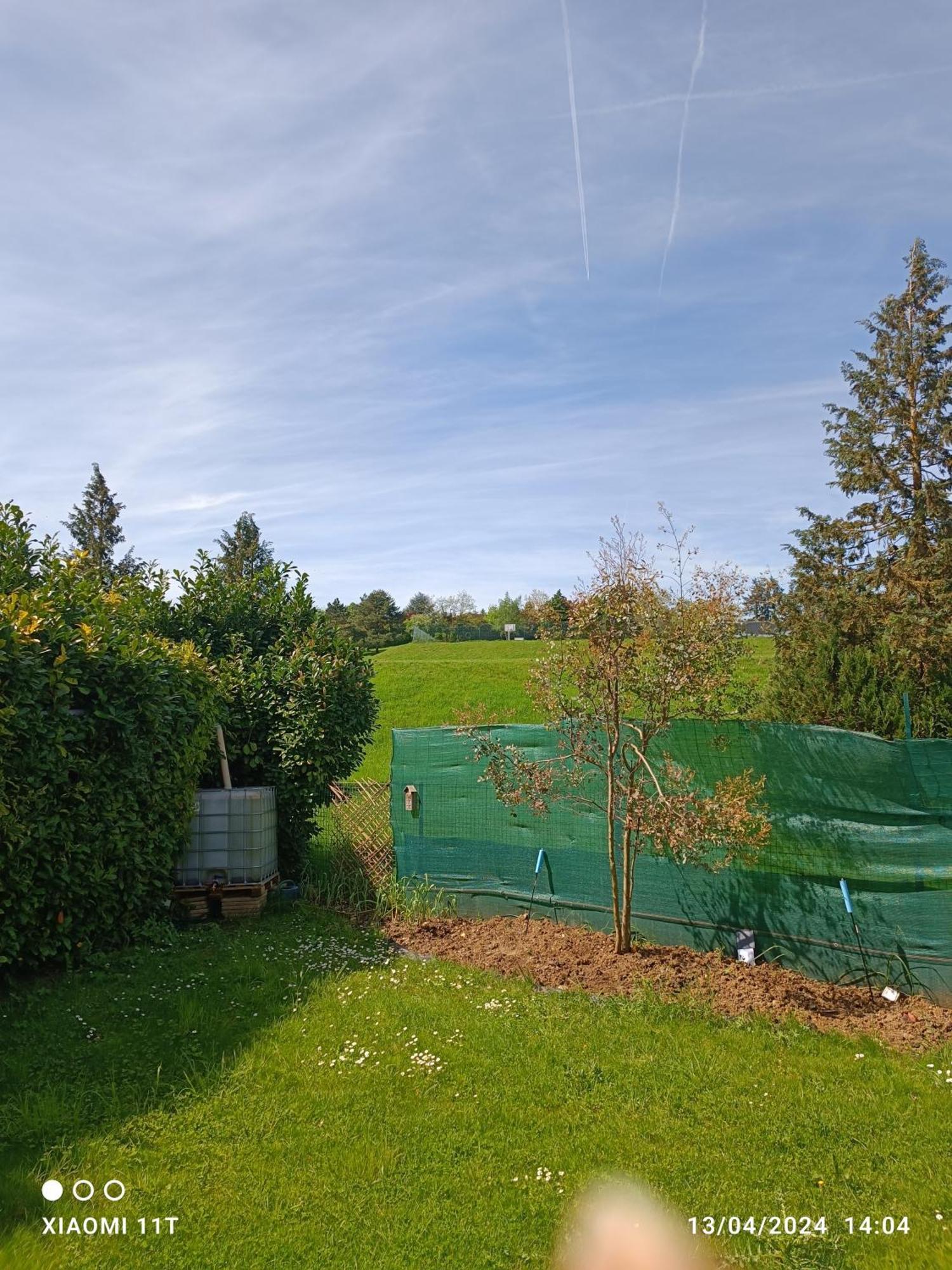 Maison Romantique Entre Deux Fleuves Chez L'Habitant Montereau-Fault-Yonne Eksteriør billede
